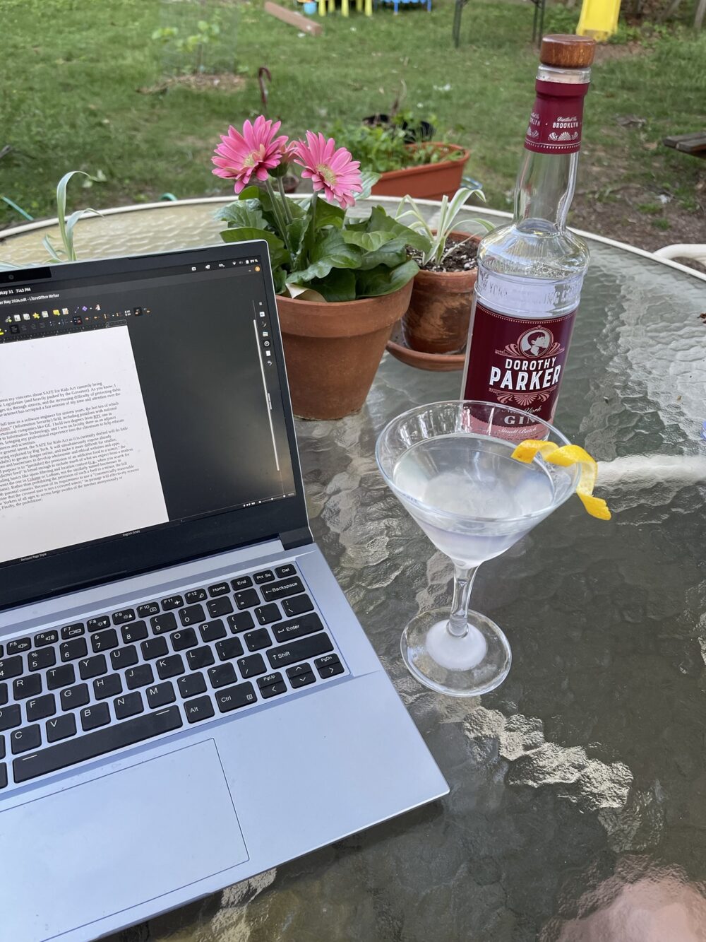 A patio table with grass in the background. On the table are a laptop with an screen full of writing, a flower pot, a bottle of gin, and a full martini glass.